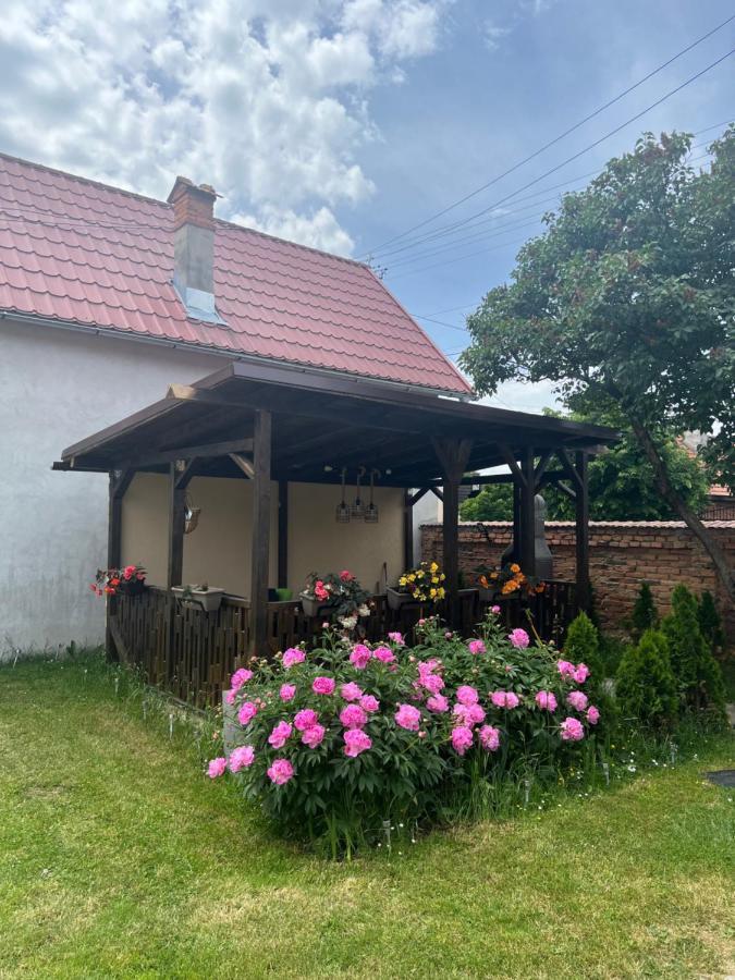 Silver House Rasnov 외부 사진